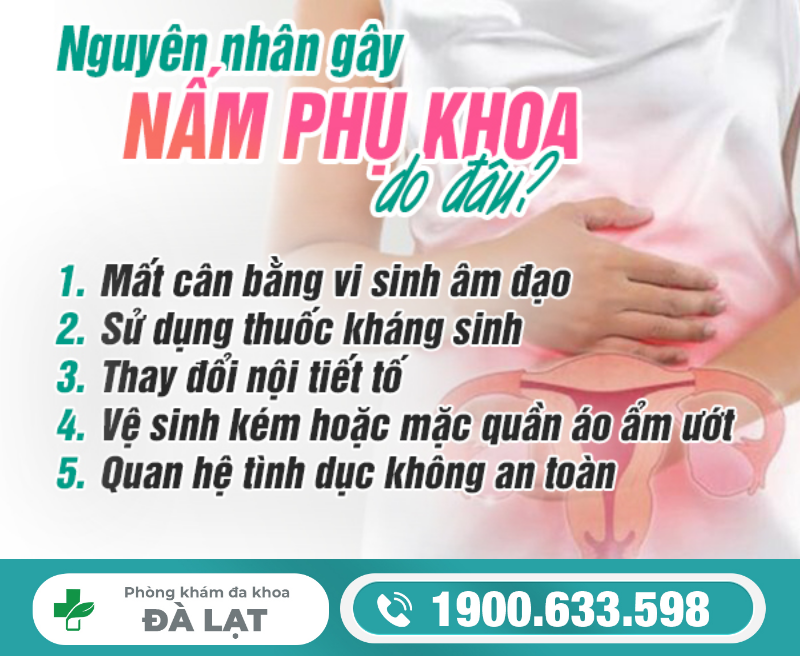 Hình ảnh minh họa